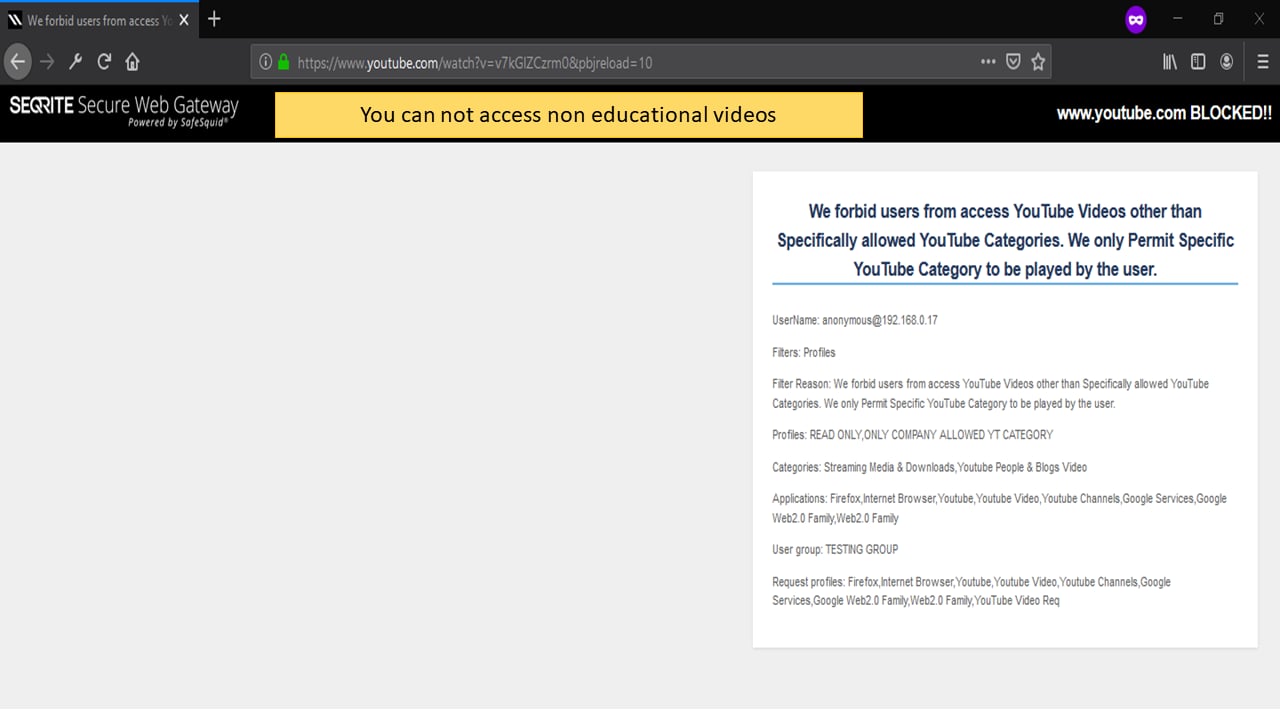 Youtube Video policy to allow specific video