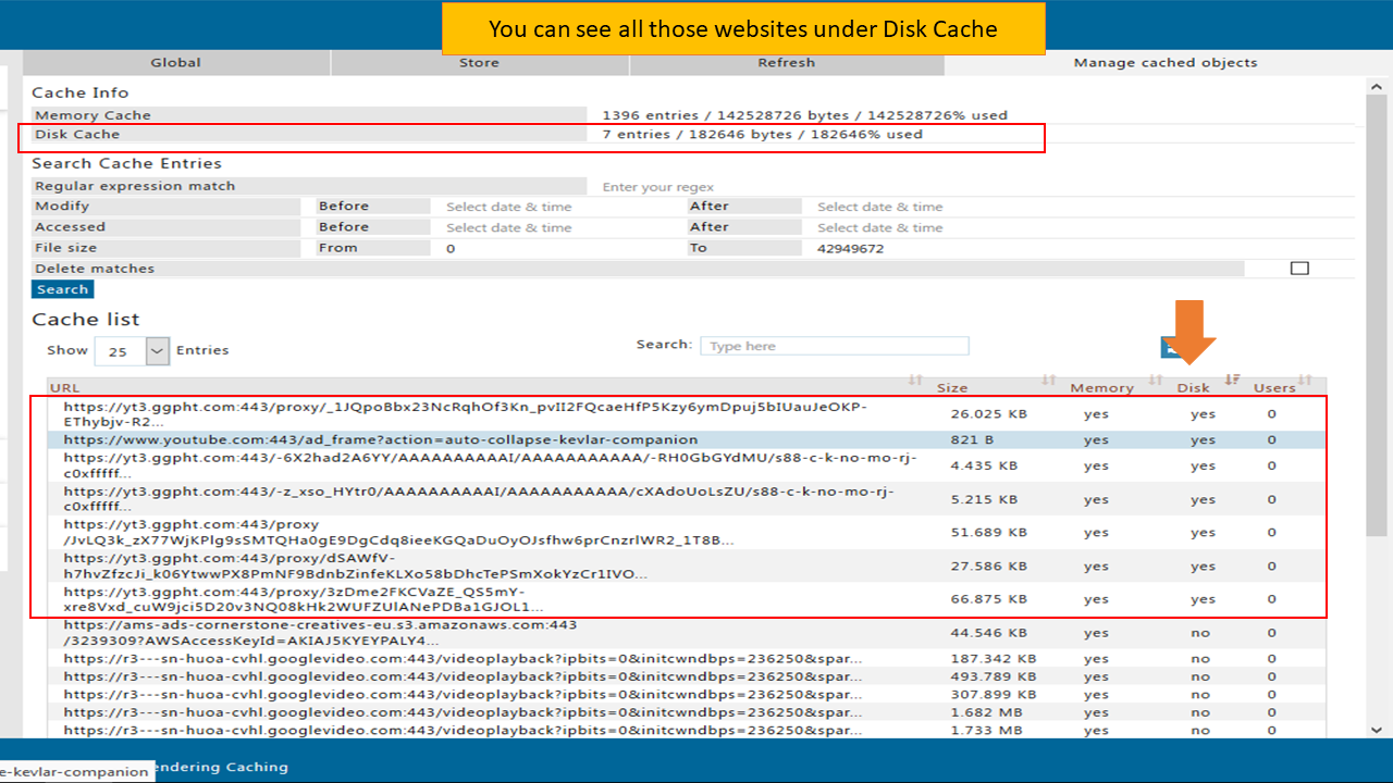 Disk cache contents