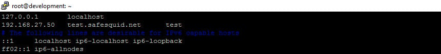 Make DNS entry of website pointing to website IP