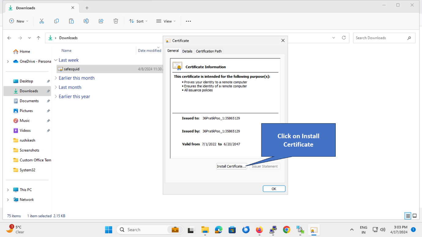 Install Certificate button