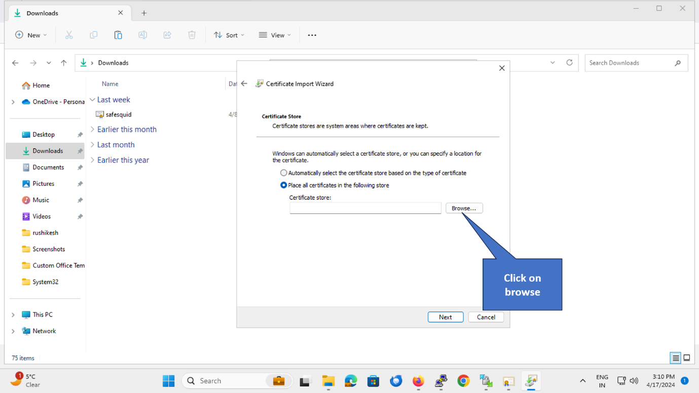 Browse certificate store