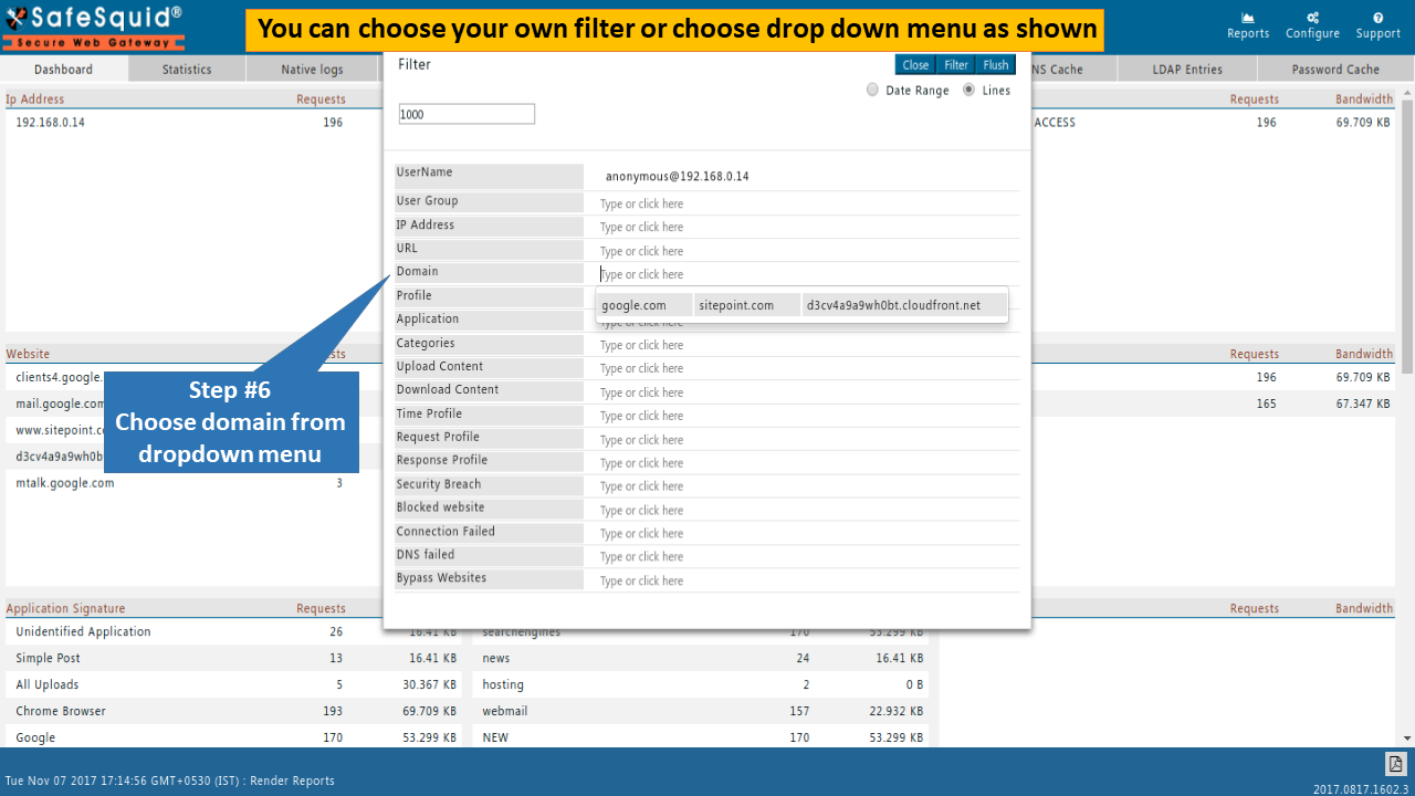 Apply filter to view SafeSquid report