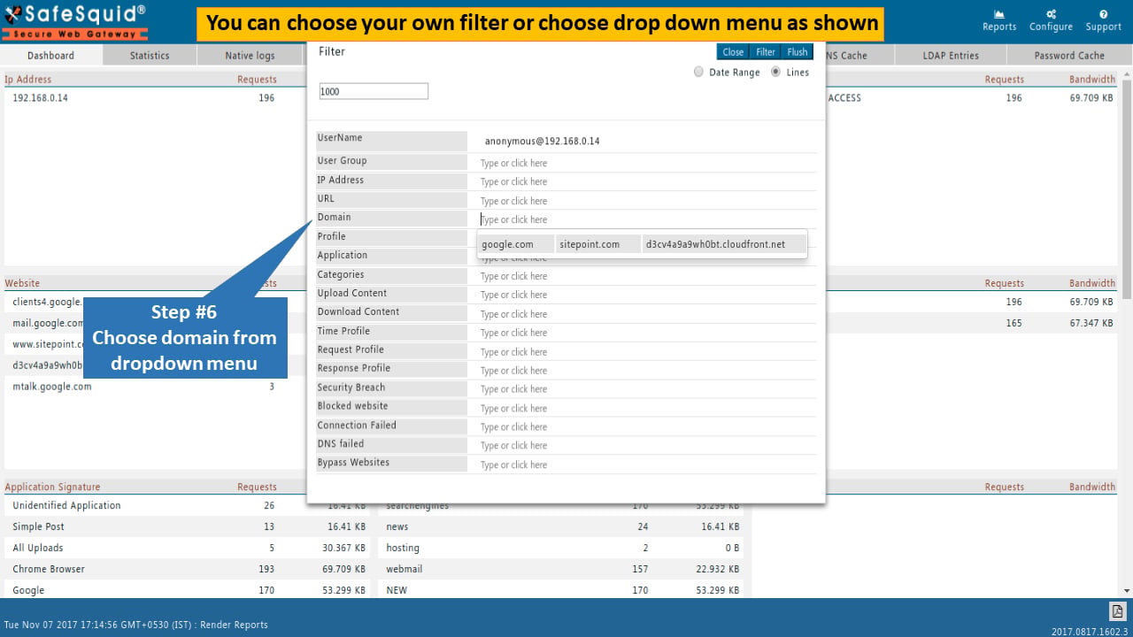 Apply filter to view SafeSquid report