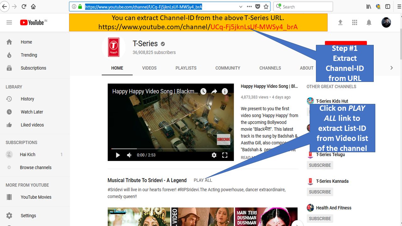 Extract Channel-ID from YouTube Channel