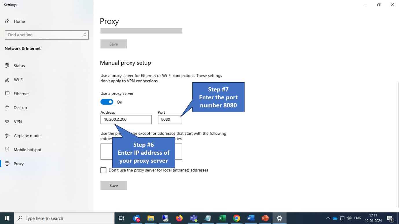 Proxy address and port