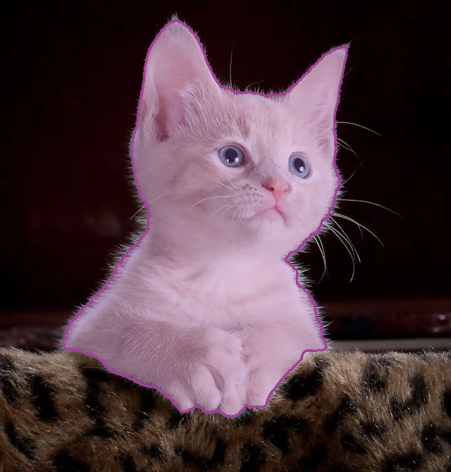 SAM3 segmentation result showing a cat with mask overlay