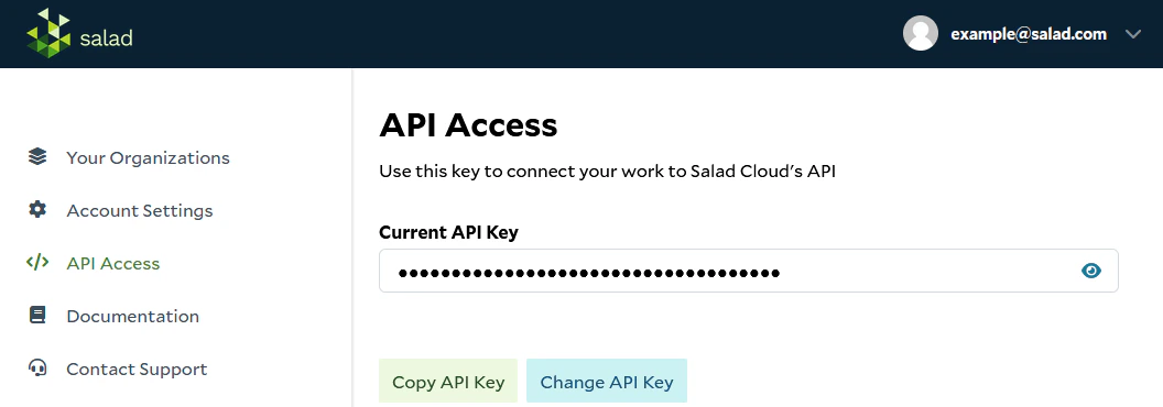 API Key Retrieval Screen