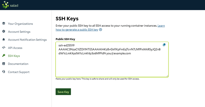 Multiplex Ssh SSH & Terminal Access - SaladCloud