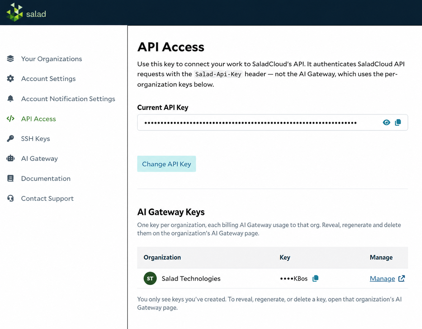 API Access page showing the Current API Key and organization-specific AI Gateway Keys