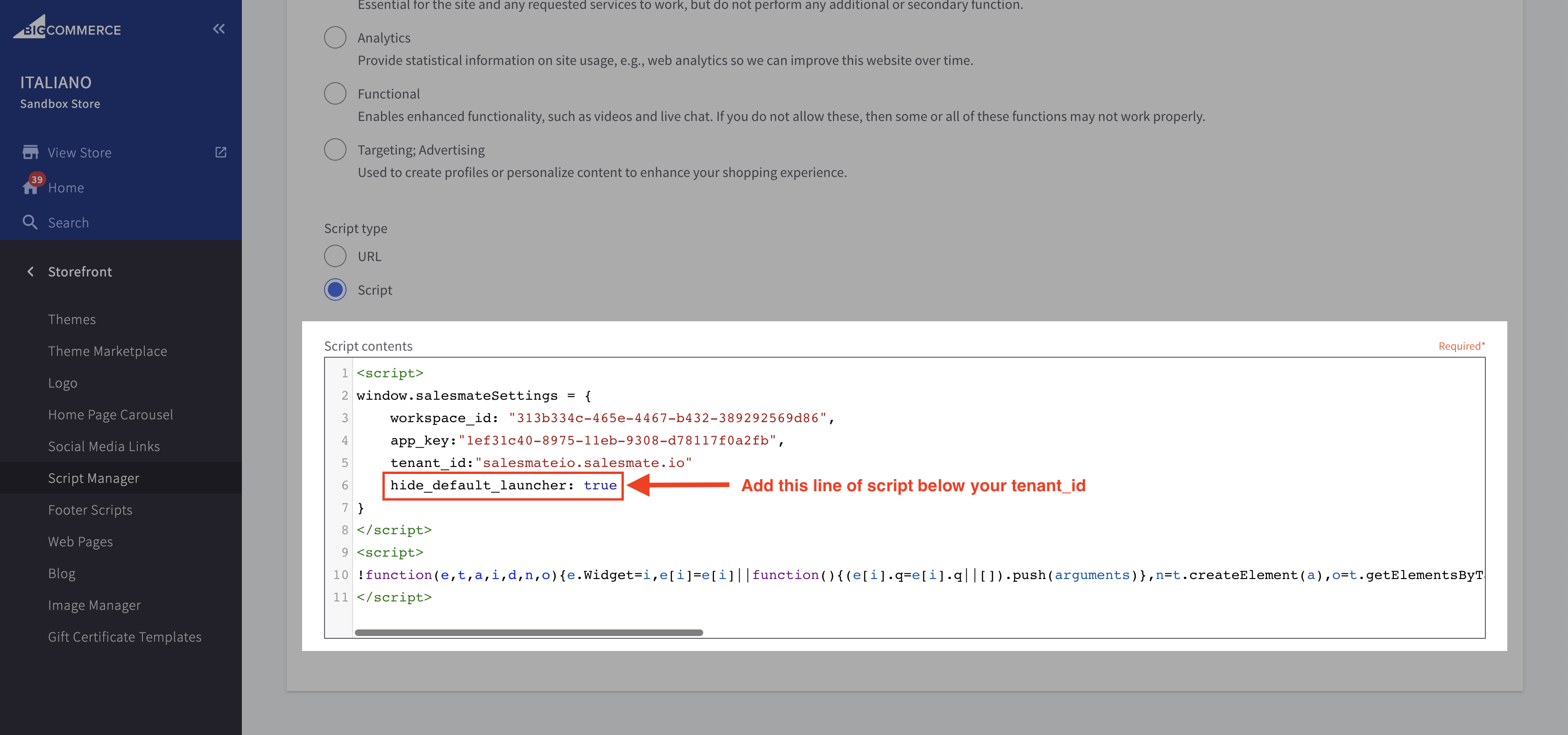 BigCommerce Paste Code