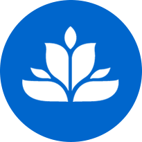 light logo