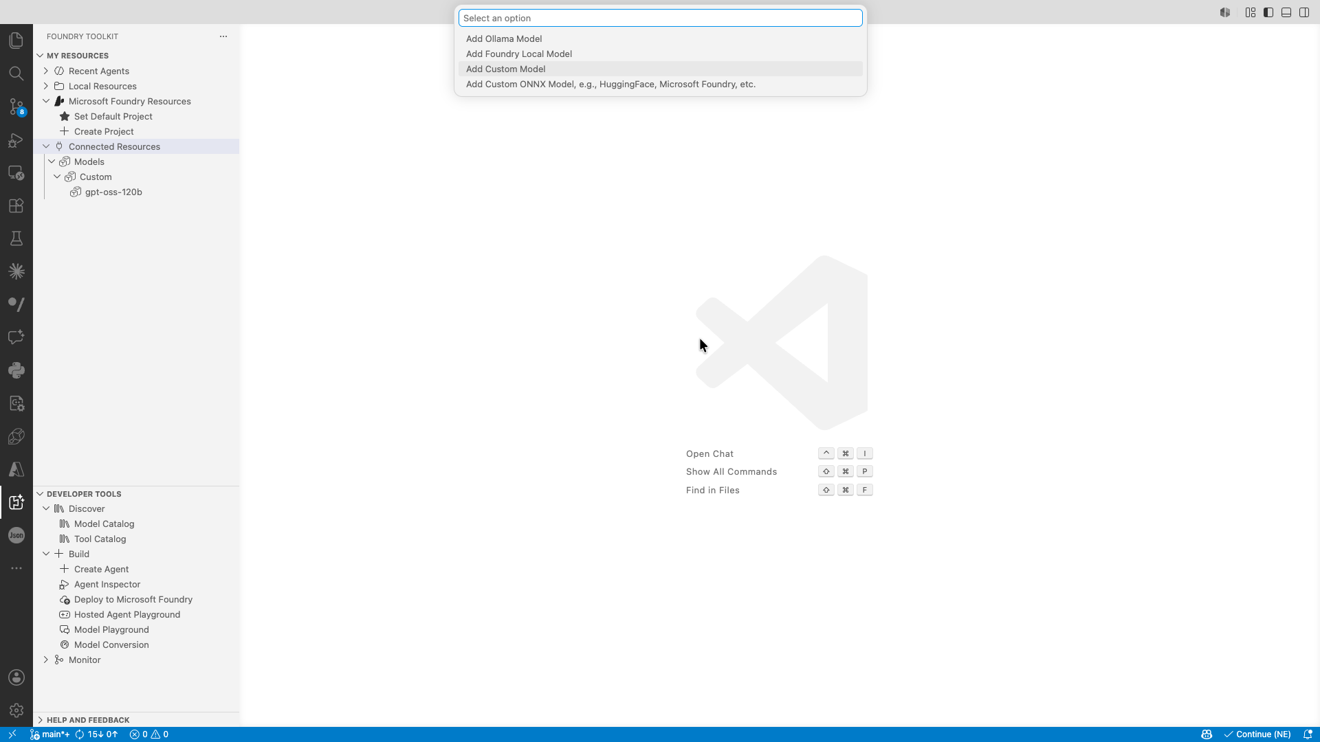Add custom model option in Foundry Toolkit