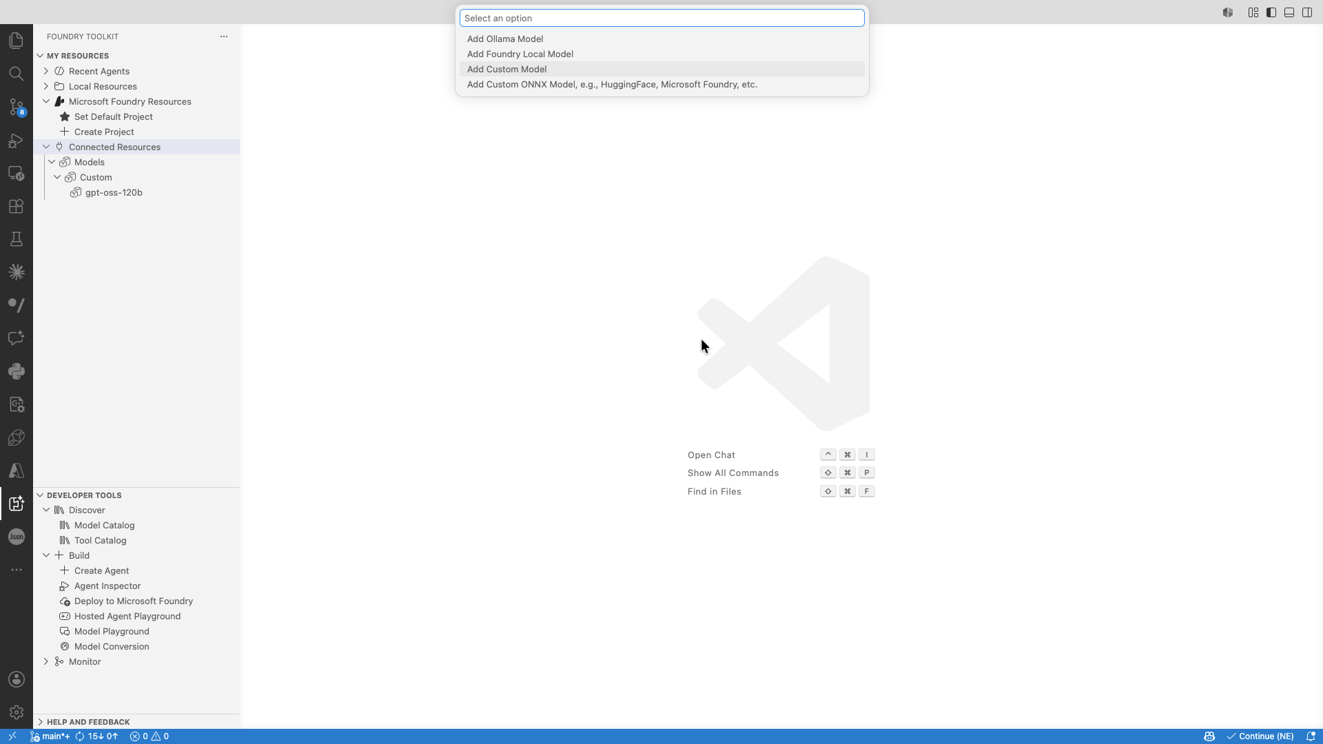 Add custom model option in Foundry Toolkit