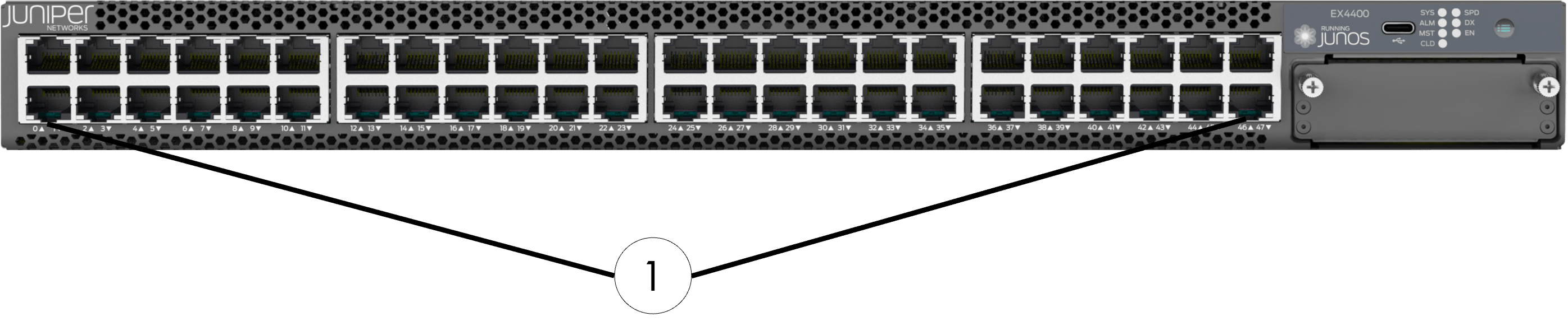 Management switch front panel
