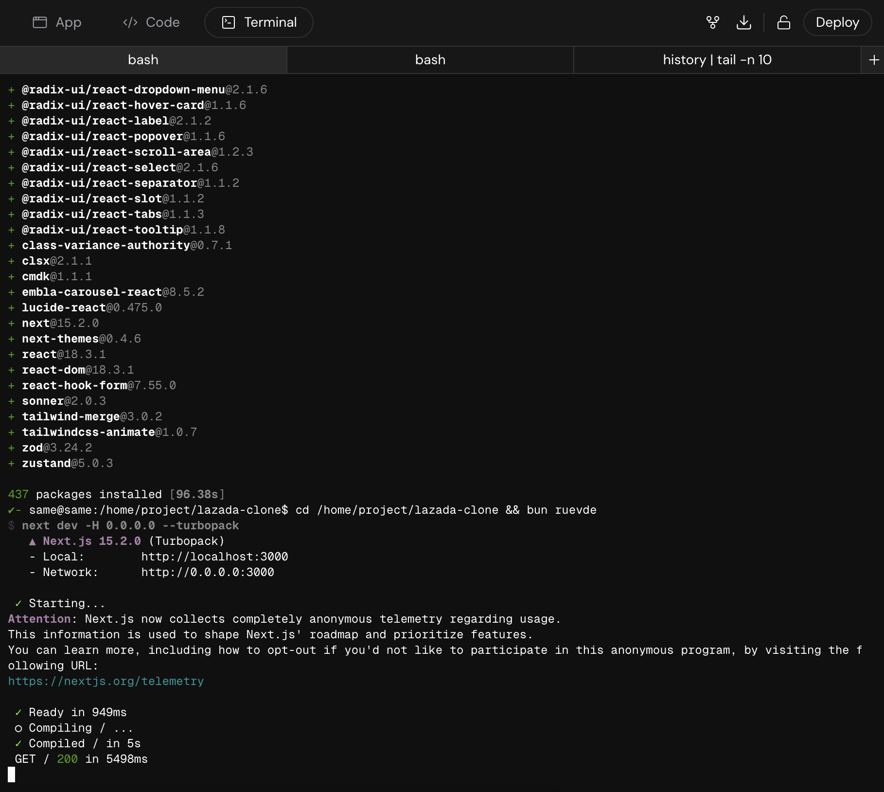 Screenshot of the integrated terminal within the Same workbench.