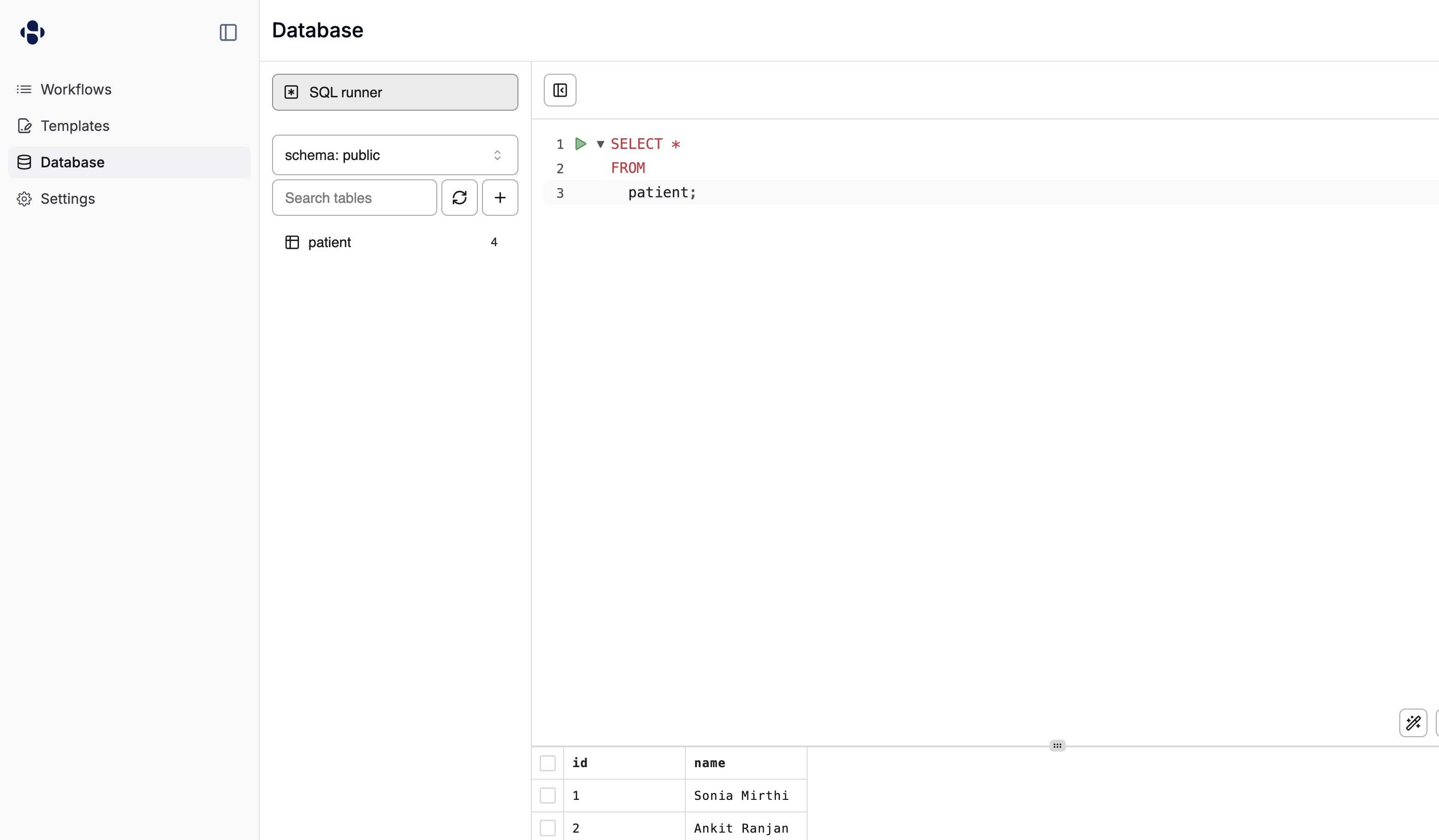 SQL Runner Interface