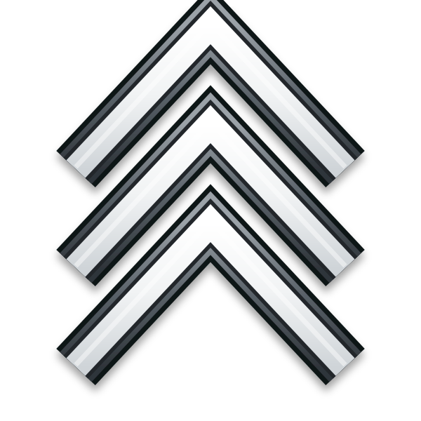 03 Sergeant Three Stripes