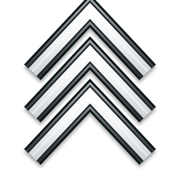 03 Sergeant Three Stripes 03 Sergeant Three Stripes
