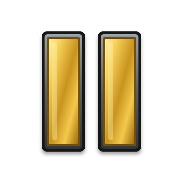 05 Captain Two Gold Bars