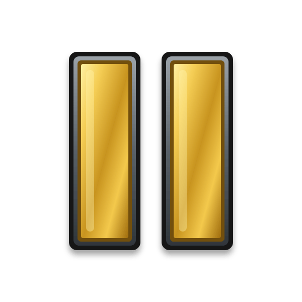 05 Captain Two Gold Bars 05 Captain Two Gold Bars