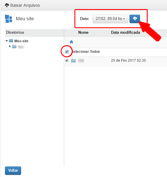 Cloud Backup - Download
