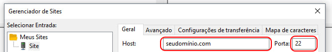 Como-conectar-via-SFTP-com-o-FileZilla---Passo-2