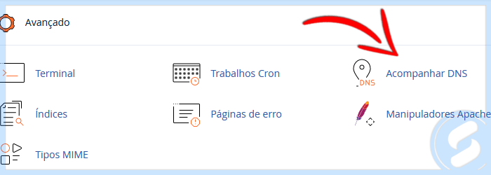 cPanel - Acompanhar DNS