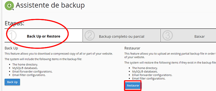 cPanel - Assistente de backup