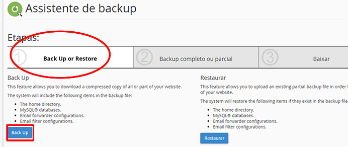 cPanel - Assistente de backup
