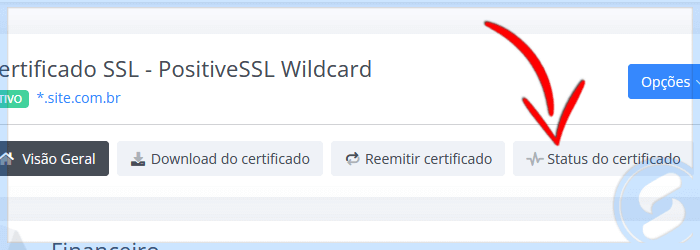 SSL SAN - Status da emissão