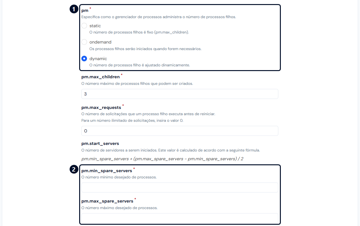 Aba PHP-FPM, com o modo dynamic e os campos de processos