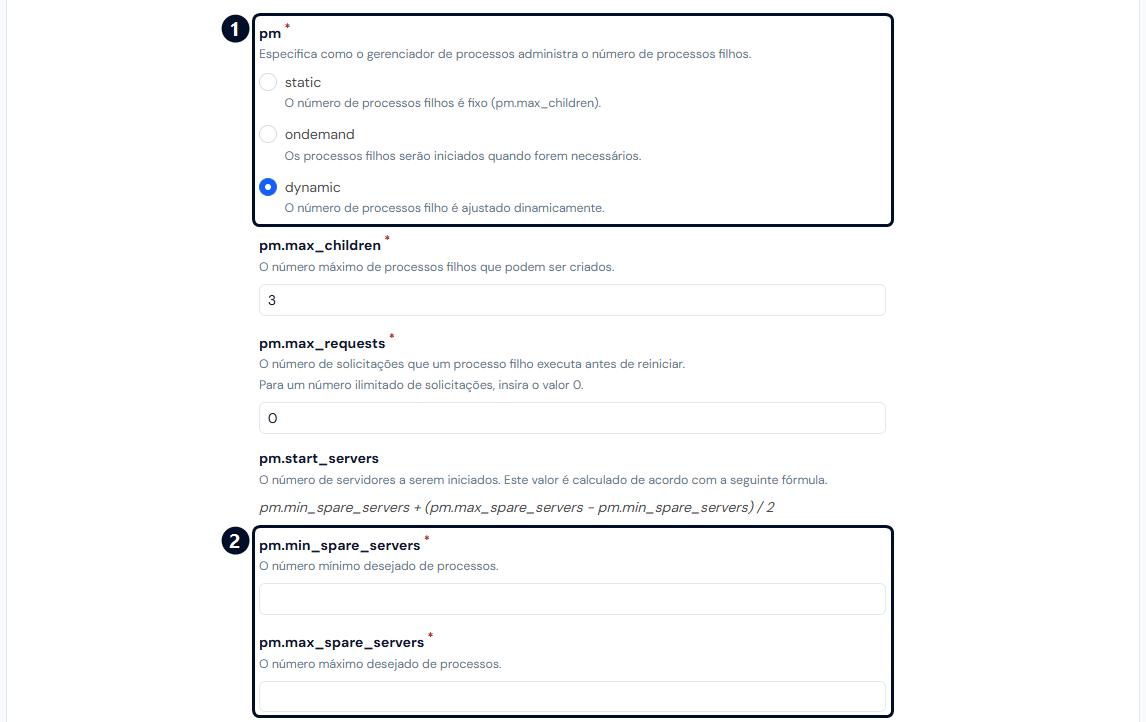 Aba PHP-FPM, com o modo dynamic e os campos de processos