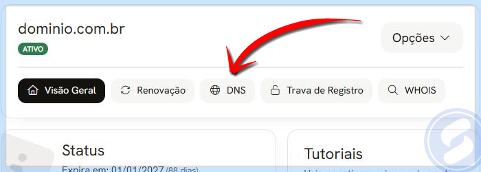 Domínio SAN - Botão DNS