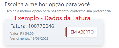 Dados da fatura SAN