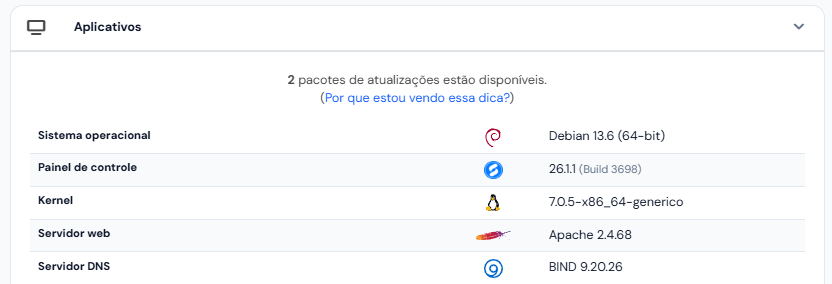 Cartão Aplicativos: sistema operacional, versão do painel, kernel, servidor web e DNS