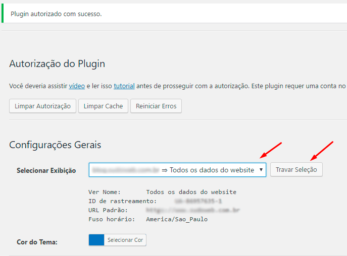 Google Analytics no WordPress - Nono passo