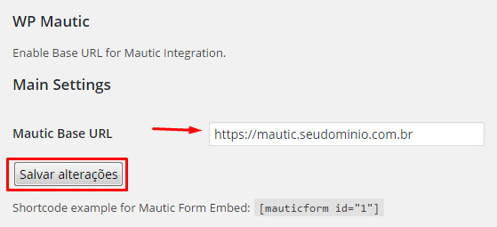 Como configurar o pixel de rastreamento no Mautic - Passo 3