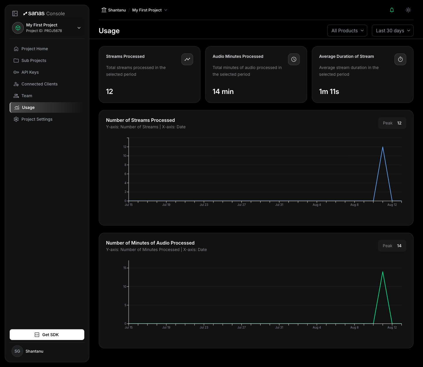 Project Usage page showing 12 streams processed, 14 minutes of audio processed, and a 1m 11s average stream duration, above two time-series charts with a single-day spike