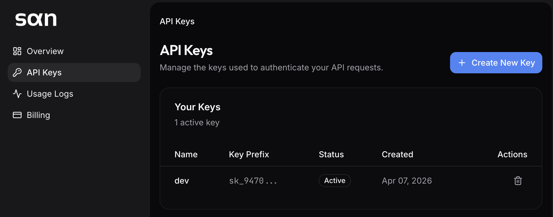Api Key Page
