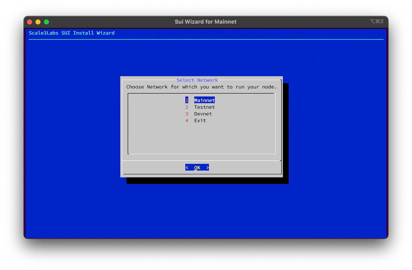 Sui Wizard Network Choice