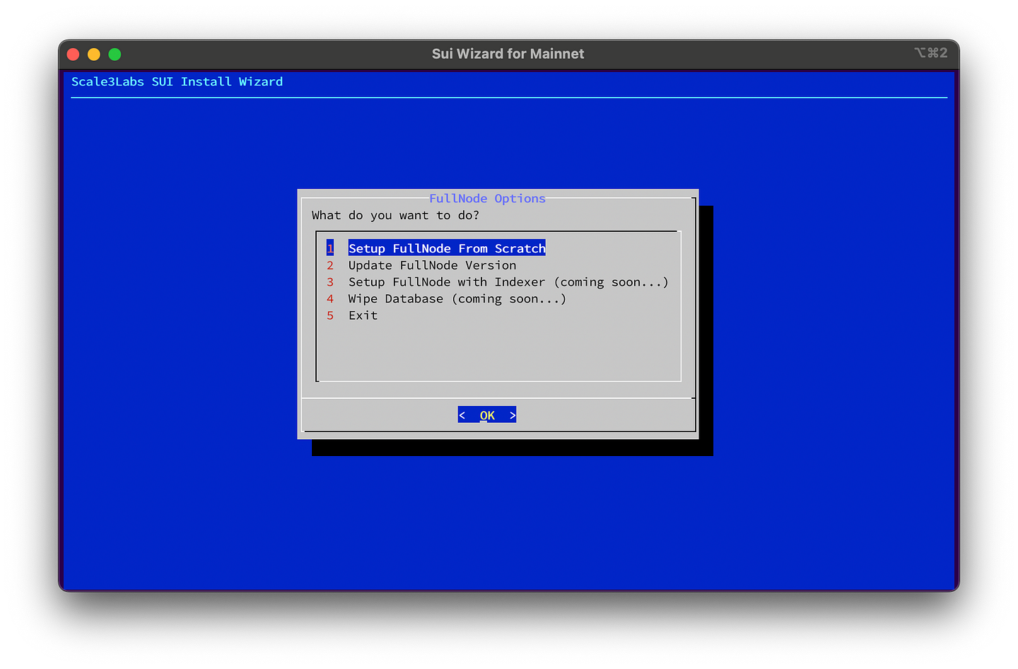 Sui Wizard FullNode Options