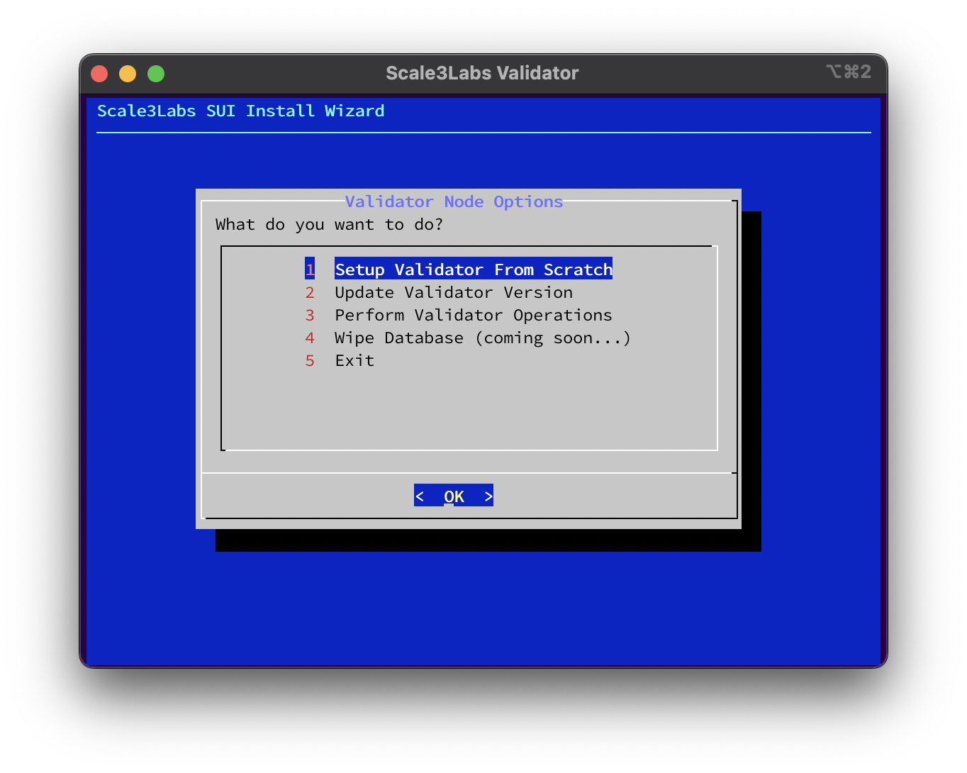 Sui Wizard Validator Options