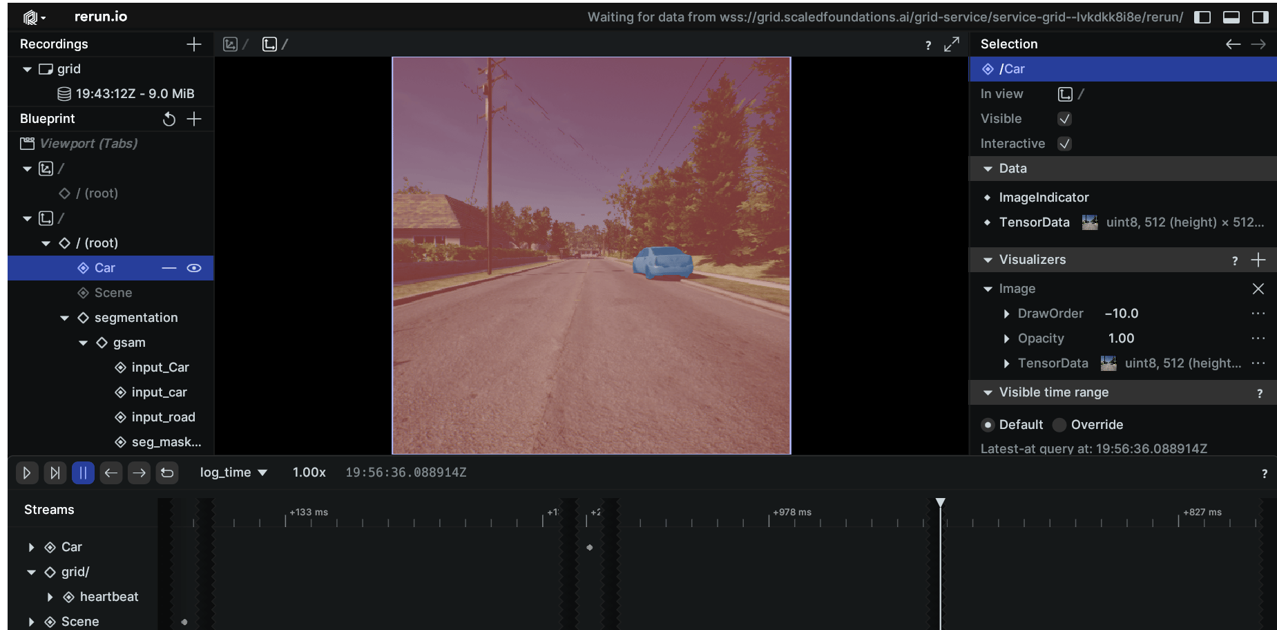 Segmented Image