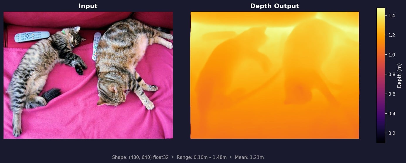 Metric3D input and depth map output