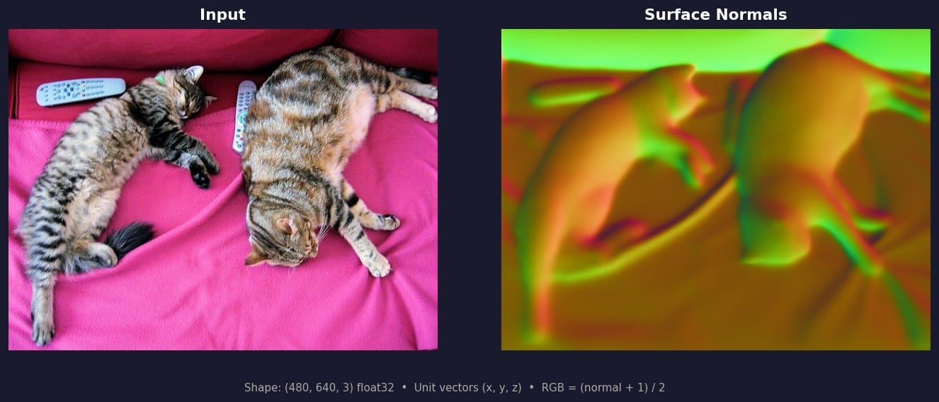 Metric3D input and surface normals output