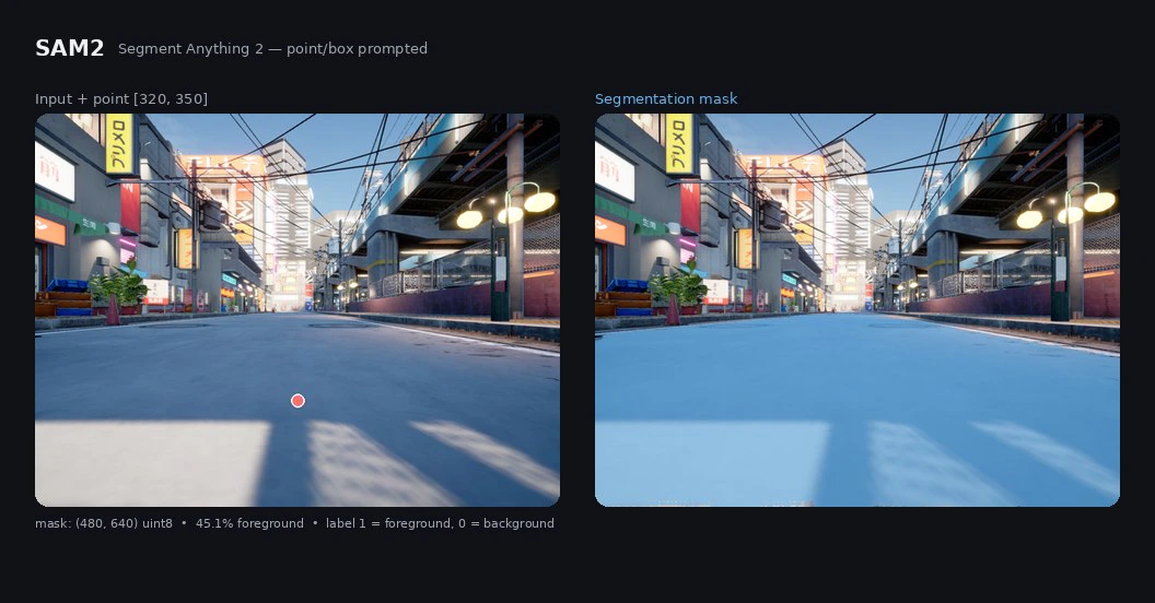 SAM2 point-prompted segmentation output