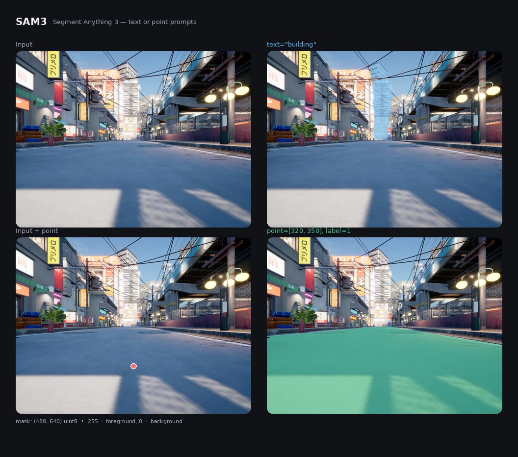 SAM3 text and point prompt segmentation outputs