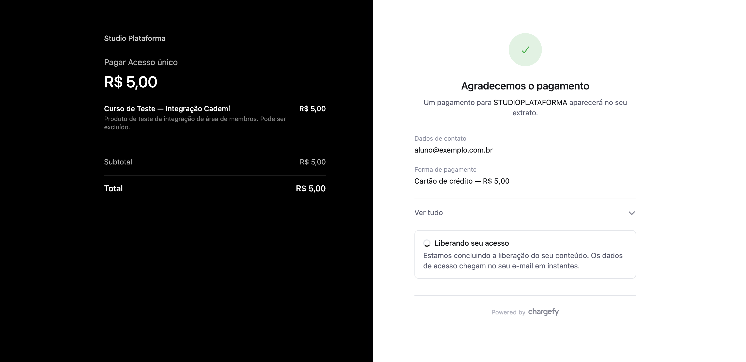 Página de confirmação do checkout da Chargefy com o pagamento aprovado e o estado Liberando seu acesso