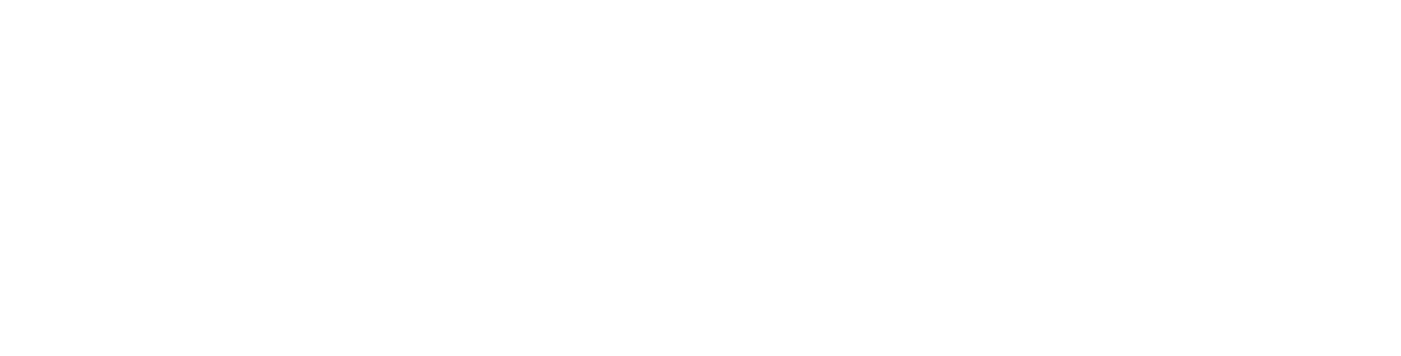 dark logo