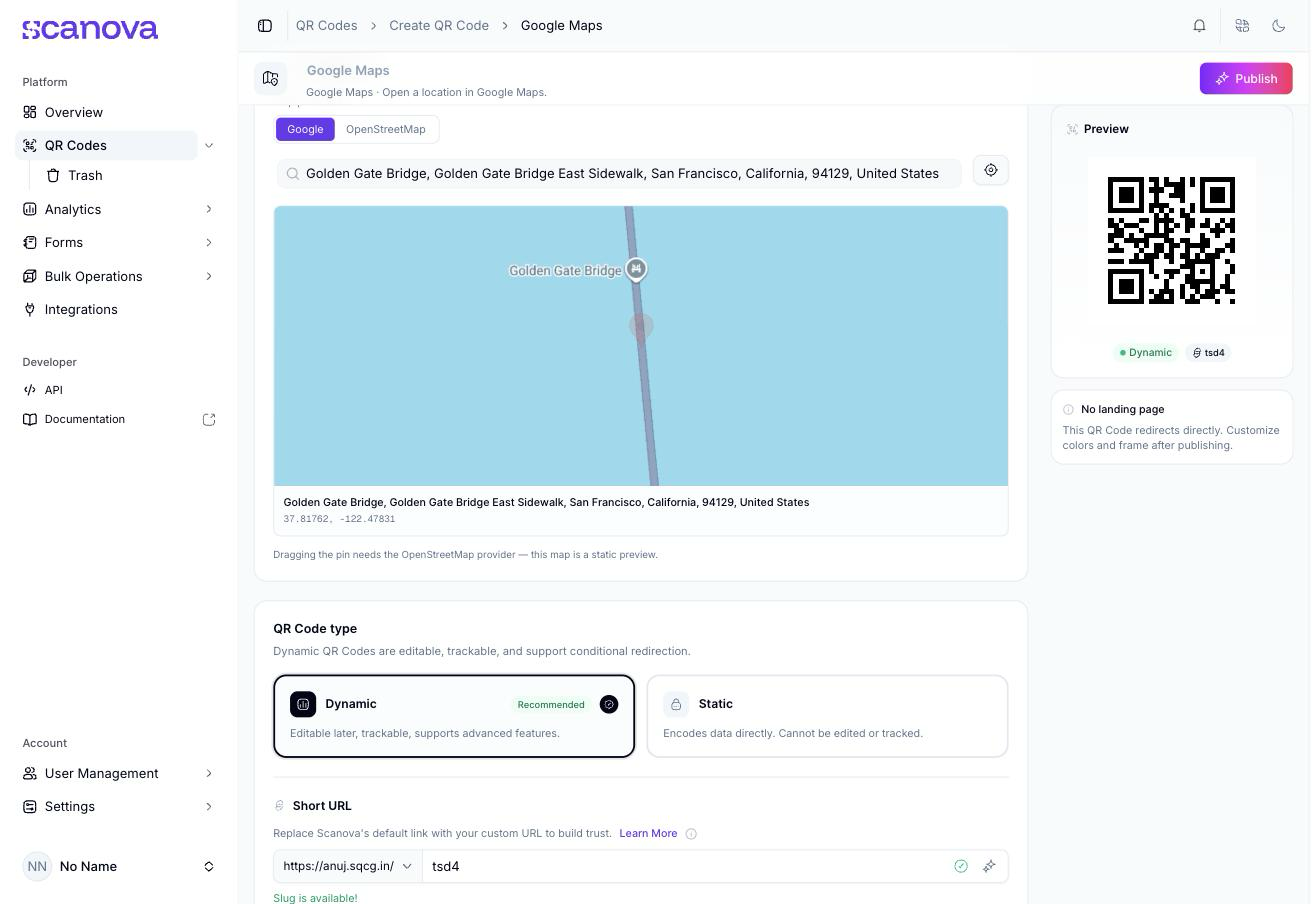 Google Maps Quick Code form with the Google provider selected